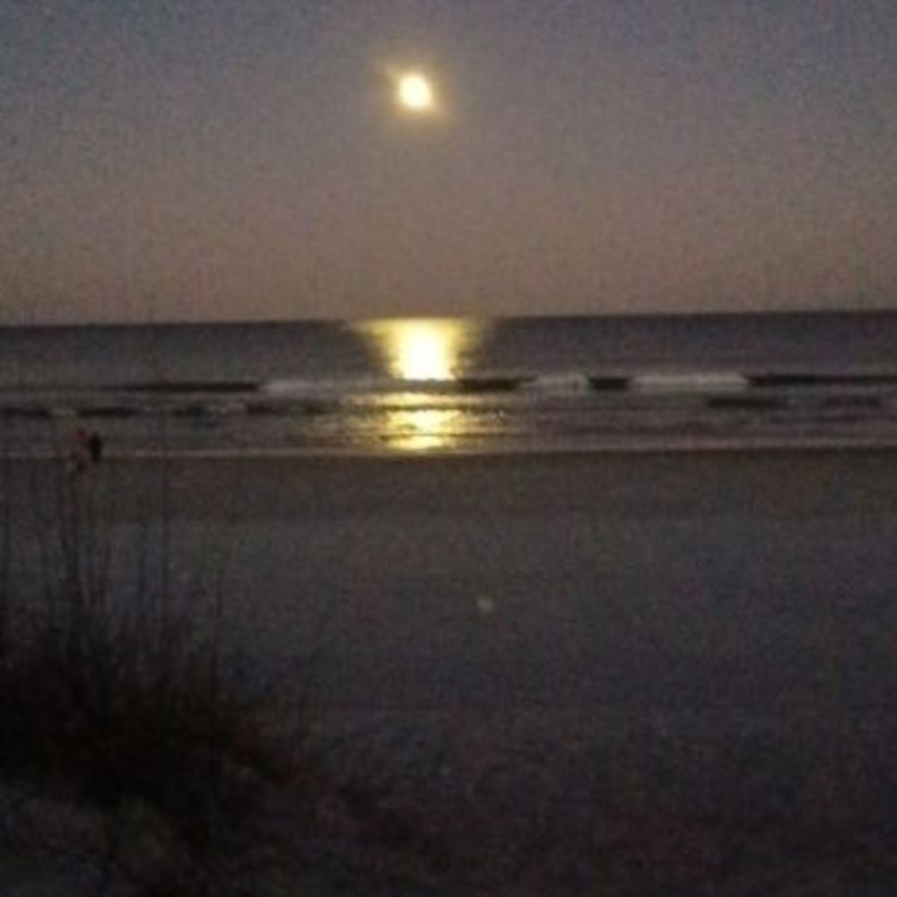 Meet your Posher, Susan